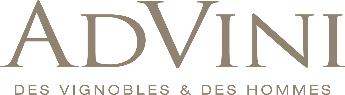 Logo de Chef(fe) de Secteur Grande Distribution - zone Sud Est (H/F)