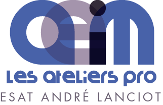 Logo de MONITEUR D'ATELIER H/F IMPRESSION ET FABRICATION NUMERIQUE