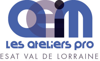 Logo de MONITEUR D'ATELIER LOGISTIQUE H/F