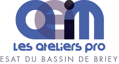 Logo de MONITEUR D'ATELIER H/F